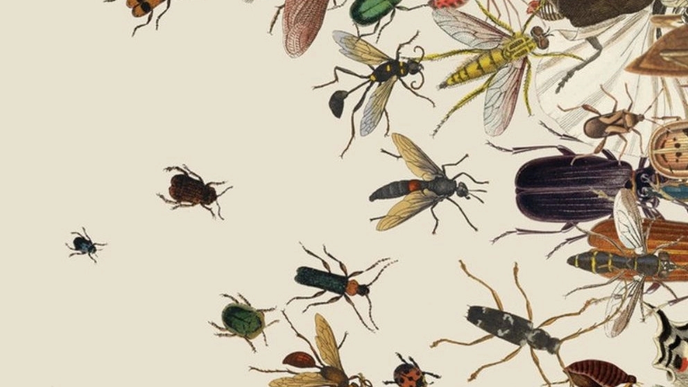 Fighting pests
